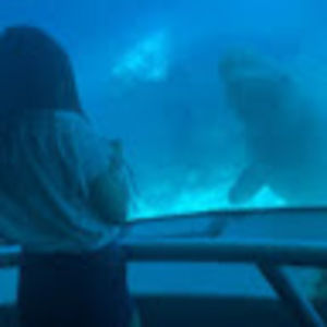 Meet your Posher, Sarah-lee